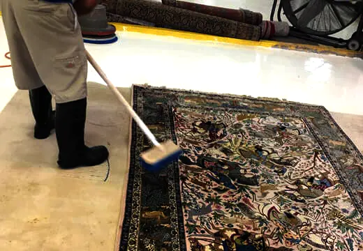 Area Rug Cleaning Service