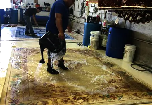 Area Rug Cleaning Service