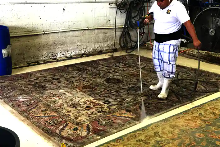 Rug Pet Stain Removal Service