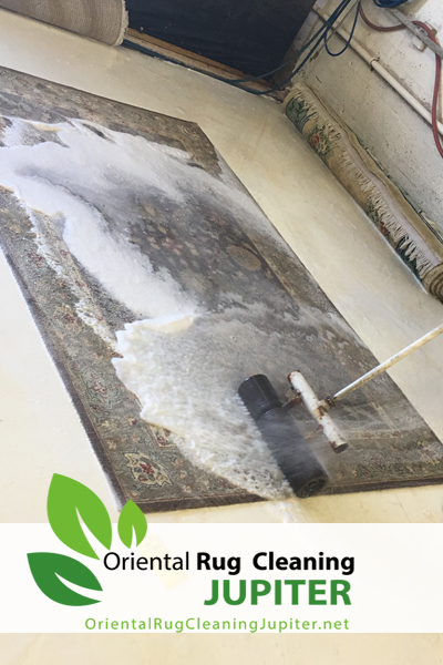 Pet Odor Removal Jupiter