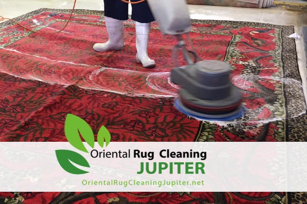 Pet Odor Removal Jupiter