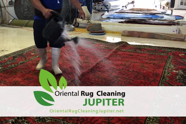 Rug Cleaning jupiter