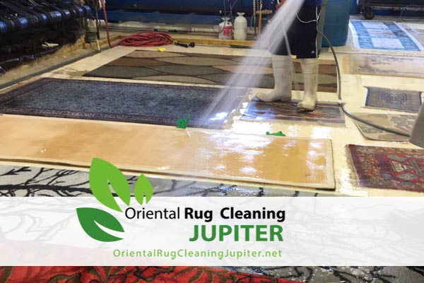 Rug Cleaning jupiter
