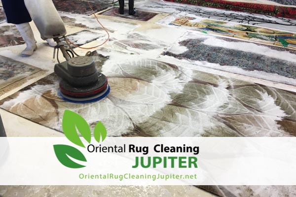 Rug Cleaning jupiter