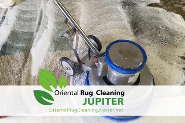 Pet Odor Removal Jupiter