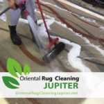 Pet Odor Removal Jupiter