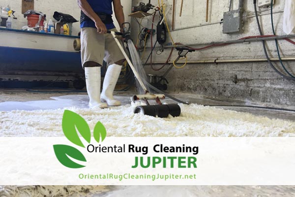 Pet Odor Removal Jupiter