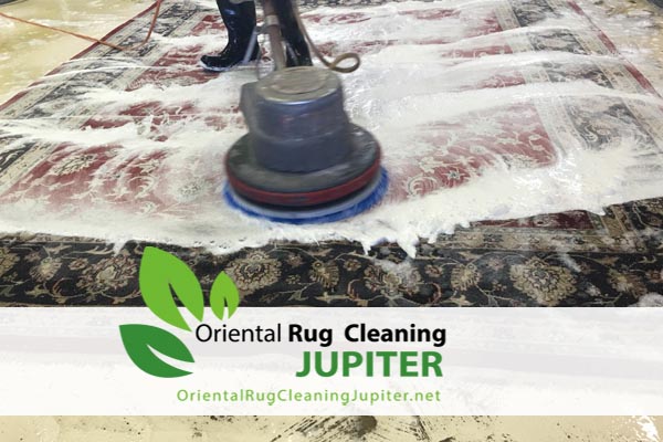 Oriental Rug Cleaning jupiter