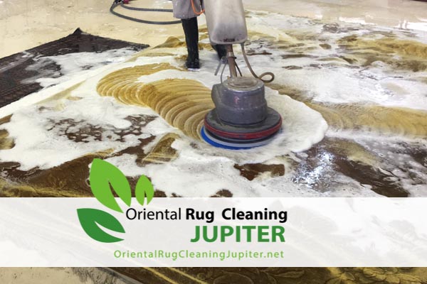 Rug Cleaners jupiter