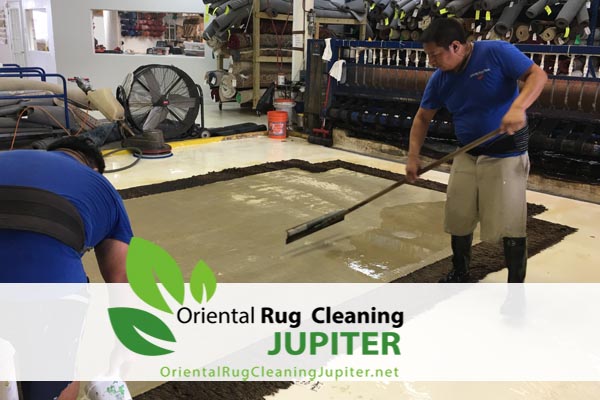 Oriental Rug Cleaning jupiter