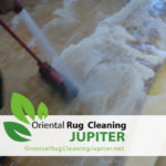 Pet Urine Removal Jupiter