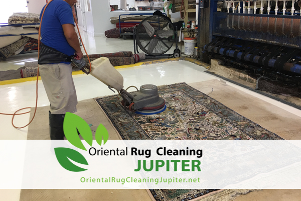 Rug Cleaning jupiter