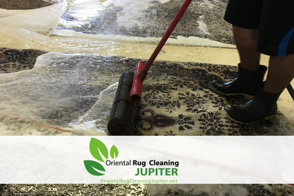 Pet Odor Removal Jupiter