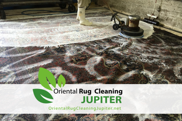 Pet Odor Removal Jupiter