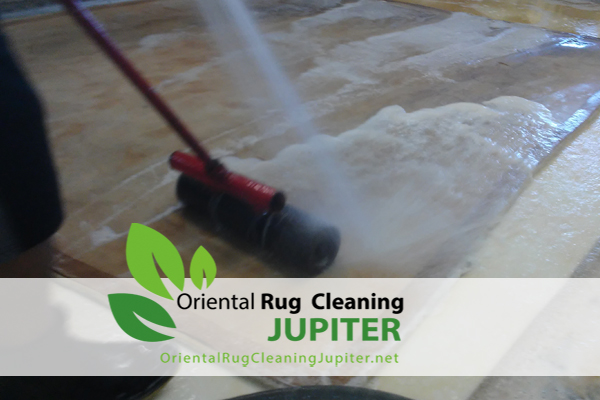 Pet Odor Removal Jupiter