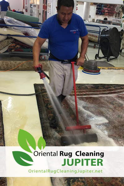 Pet Odor Removal Jupiter