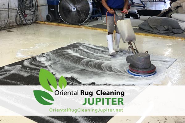 Pet Odor Removal Jupiter