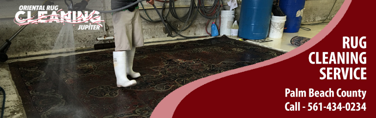 Pet Odor & Stain Removal in Jupiter