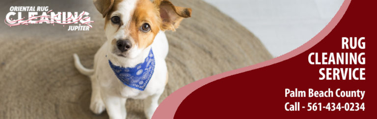 Pet Stain Removal in Jupiter