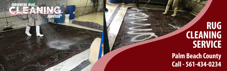 Pet Odor Removal in Jupiter