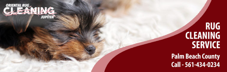 Pet Odor Removal Service in Jupiter