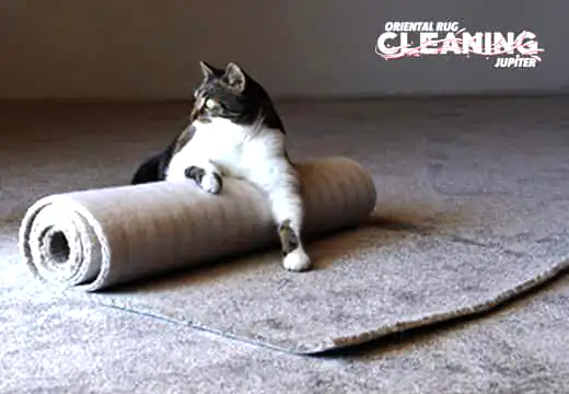 Rug Padding Service Company