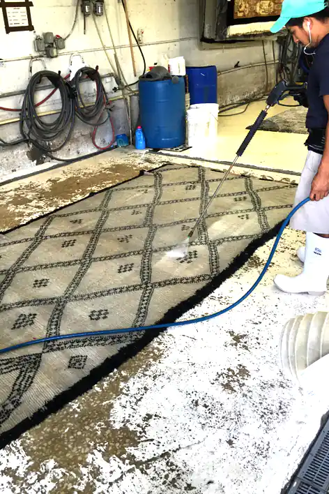 Area Rug Washing Service