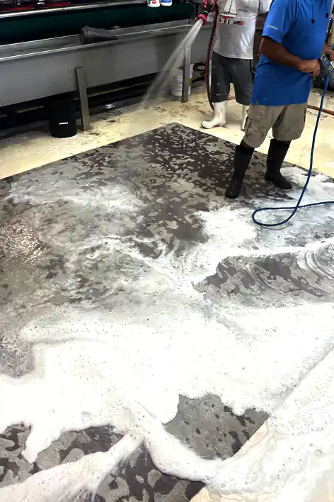 Modern Rug Clean Service