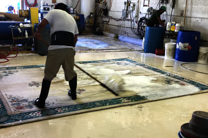 Modern Rug Cleaning Service